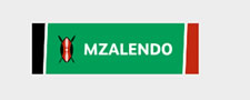 mzalendo